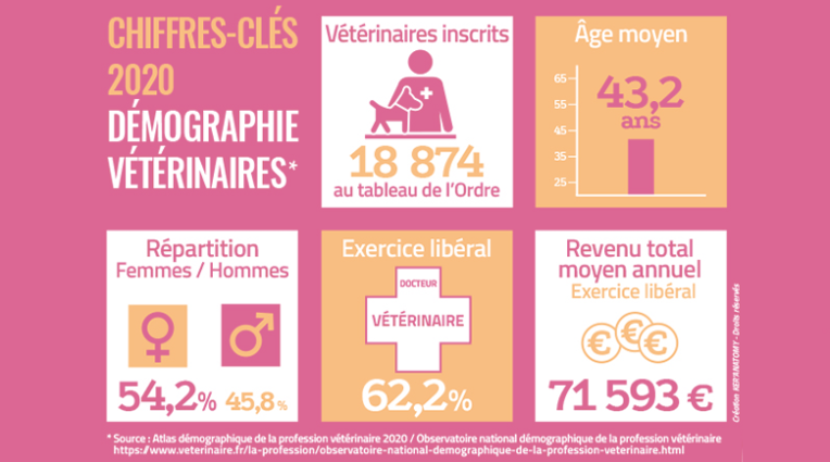 Infographie de l'atlas de la démographie vétérinaire