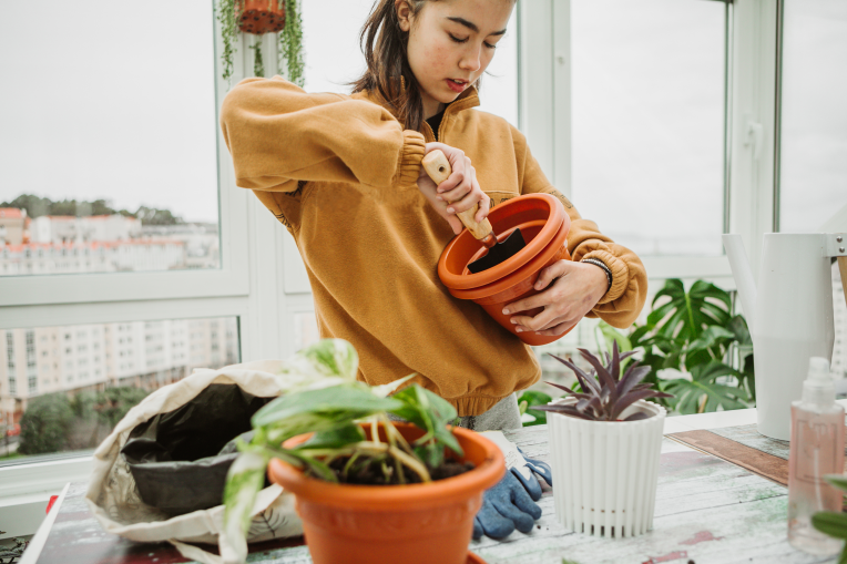 jeune femme rempotant des plantes